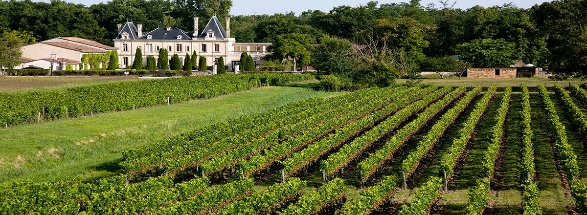 Chateau Meyre Avensan Eksteriør billede